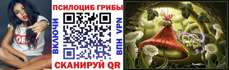 как найти   Снежногорск  Псилоцибиновые грибы Magic Shrooms 